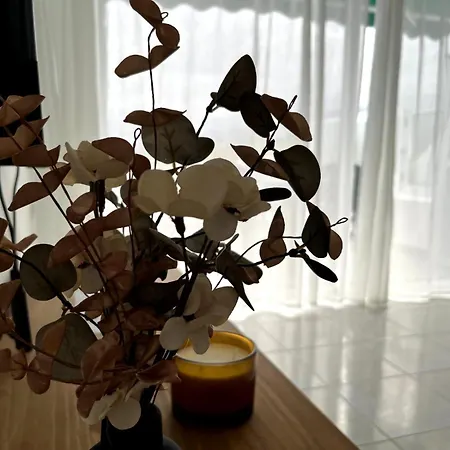 La Mar לוס ריאלחוס